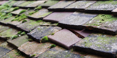 Rhandirmwyn roof repair costs